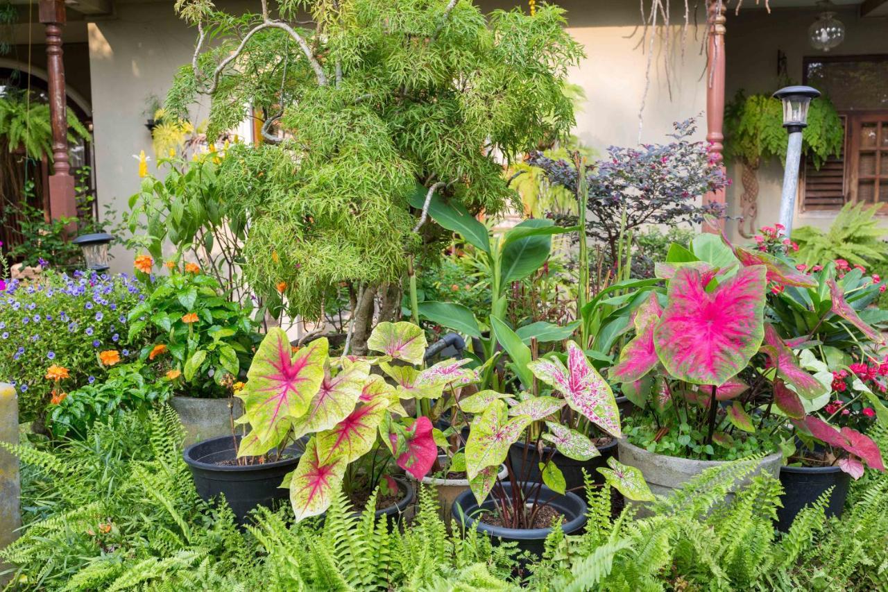 Idor Holidays Sri Jayewardenepura Kotte Ngoại thất bức ảnh